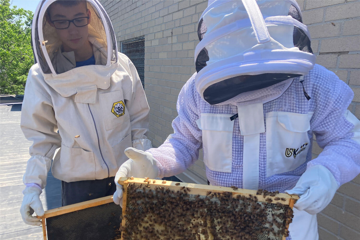 edsmen beekeepers